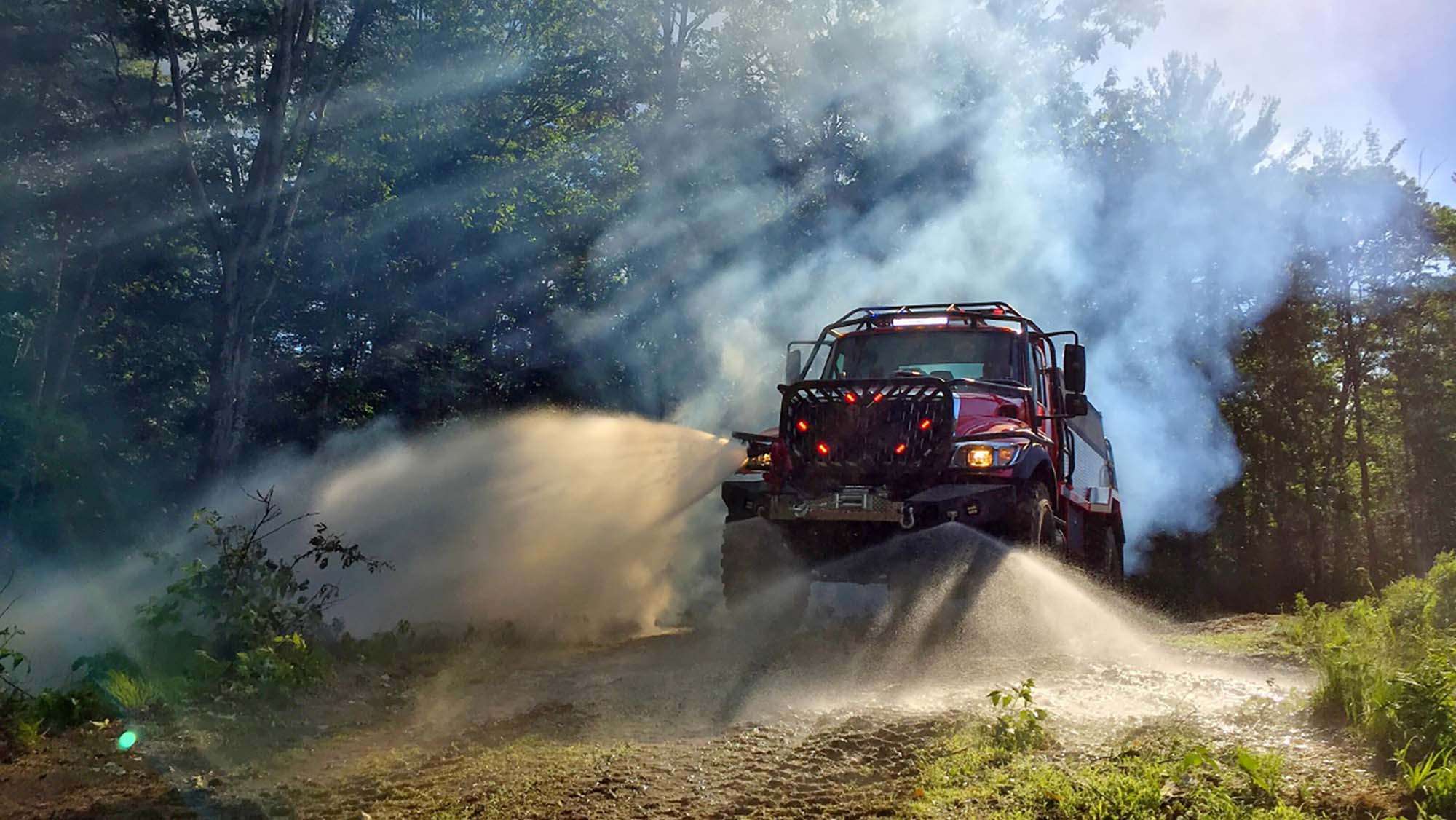 Big Dog in the woods with smoke